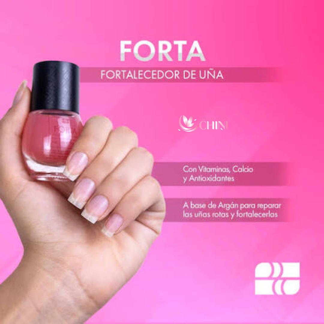 Diseño sin título - 2026-07-30T155824.750