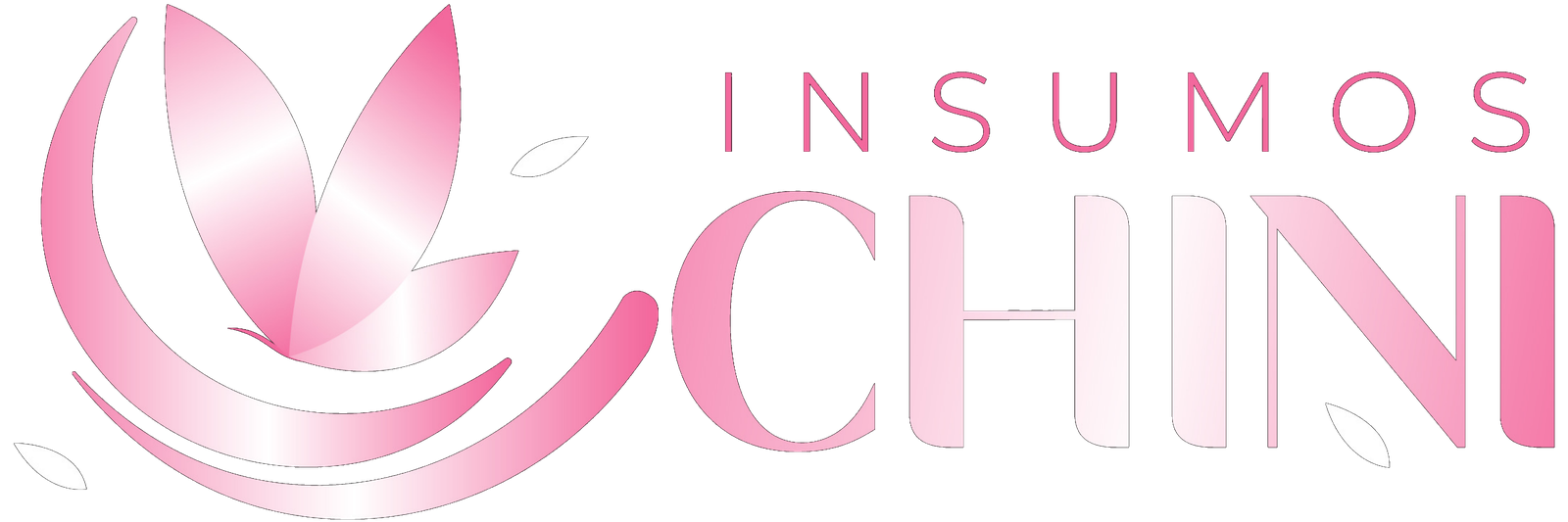Insumos Chini