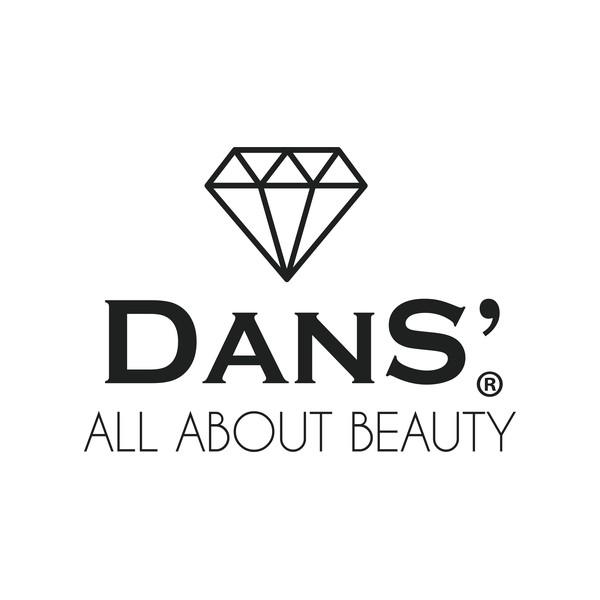 Logo DANS