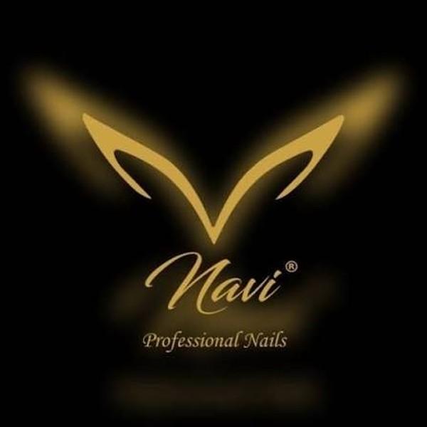 Logo NAVI